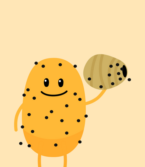 Doofus - Dumb Ways